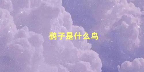鹞子是什么鸟