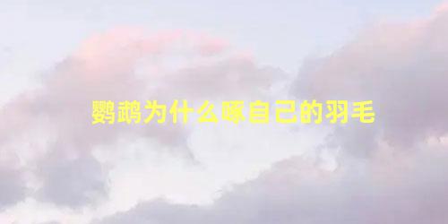 鹦鹉为什么啄自己的羽毛