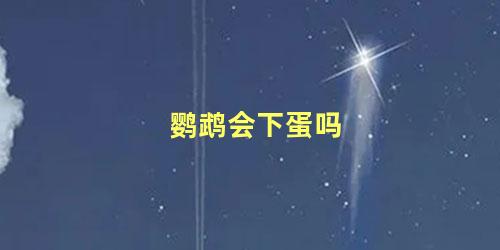 鹦鹉会下蛋吗