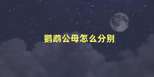 鹦鹉公母怎么分别