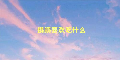 鹦鹉喜欢吃什么