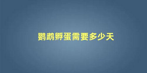 鹦鹉孵蛋需要多少天