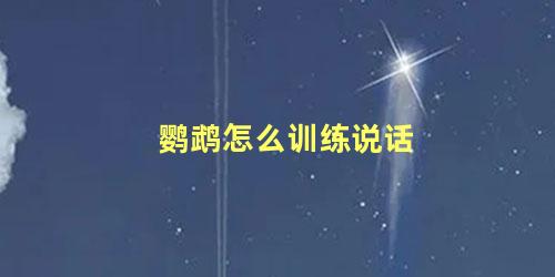 鹦鹉怎么训练说话