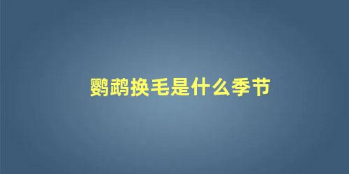 鹦鹉换毛是什么季节
