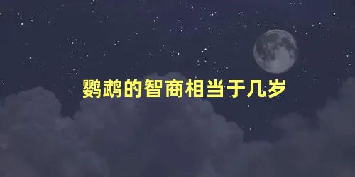 鹦鹉的智商相当于几岁
