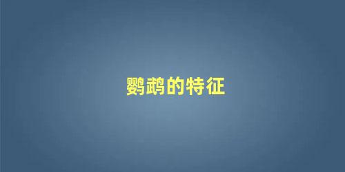 鹦鹉的特征