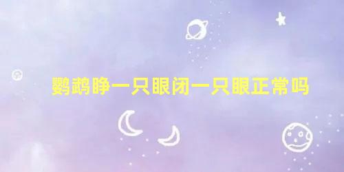 鹦鹉睁一只眼闭一只眼正常吗