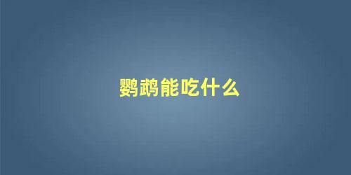 鹦鹉能吃什么