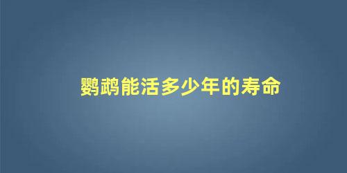 鹦鹉能活多少年的寿命