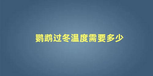 鹦鹉过冬温度需要多少