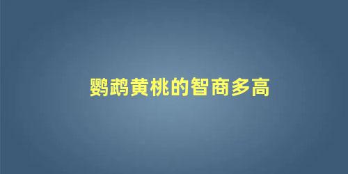 鹦鹉黄桃的智商多高