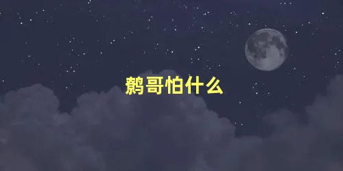 鹩哥怕什么