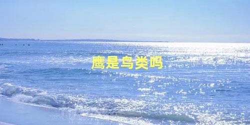 鹰是鸟类吗