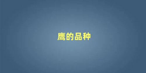 鹰的品种
