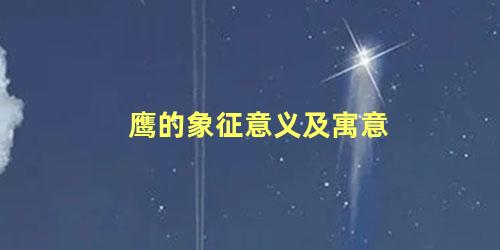 鹰的象征意义及寓意