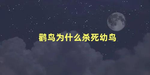 鹳鸟为什么杀死幼鸟