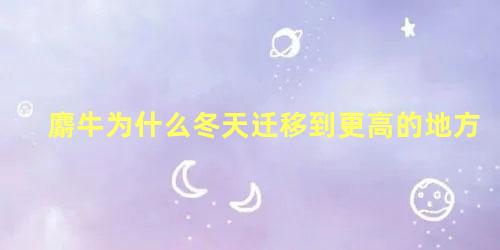 麝牛为什么冬天迁移到更高的地方