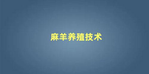 麻羊养殖技术