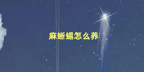 麻蜥蜴怎么养