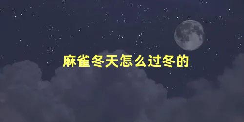 麻雀冬天怎么过冬的