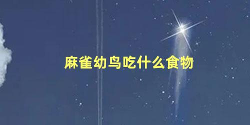 麻雀幼鸟吃什么食物