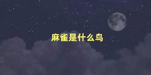 麻雀是什么鸟