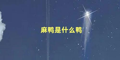 麻鸭是什么鸭