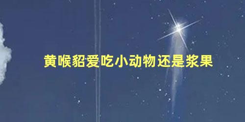 黄喉貂爱吃小动物还是浆果