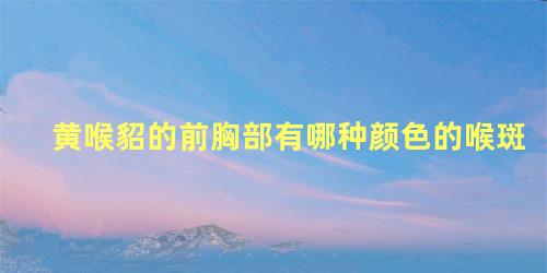 黄喉貂的前胸部有哪种颜色的喉斑