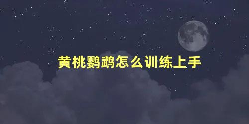 黄桃鹦鹉怎么训练上手