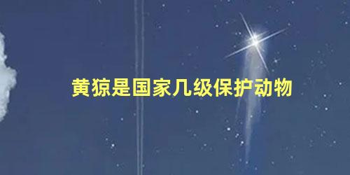 黄猄是国家几级保护动物