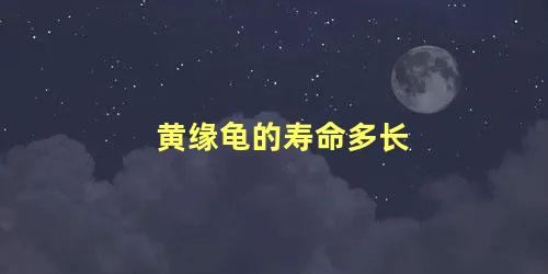 黄缘龟的寿命多长