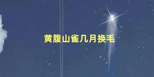 黄腹山雀几月换毛