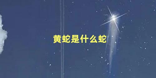 黄蛇是什么蛇