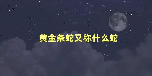 黄金条蛇又称什么蛇