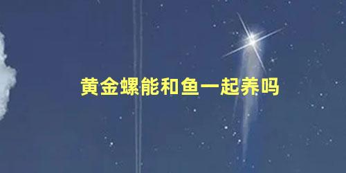 黄金螺能和鱼一起养吗