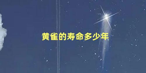 黄雀的寿命多少年