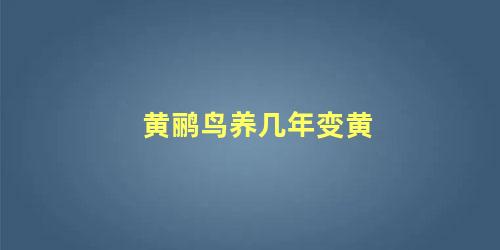 黄鹂鸟养几年变黄