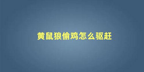 黄鼠狼偷鸡怎么驱赶