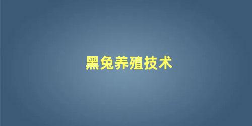 黑兔养殖技术