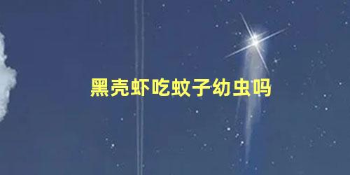 黑壳虾吃蚊子幼虫吗