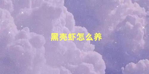 黑壳虾怎么养