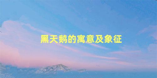 黑天鹅的寓意及象征