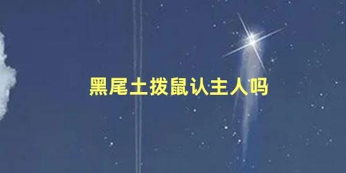 黑尾土拨鼠认主人吗