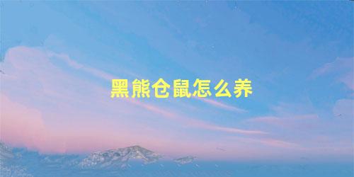 黑熊仓鼠怎么养