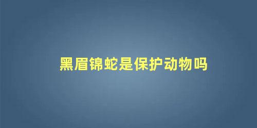 黑眉锦蛇是保护动物吗