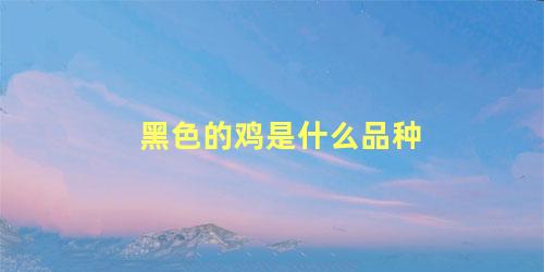 黑色的鸡是什么品种