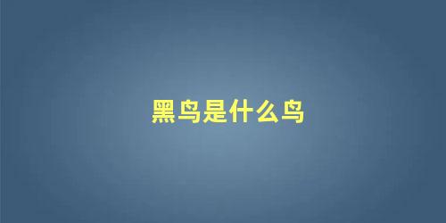 黑鸟是什么鸟
