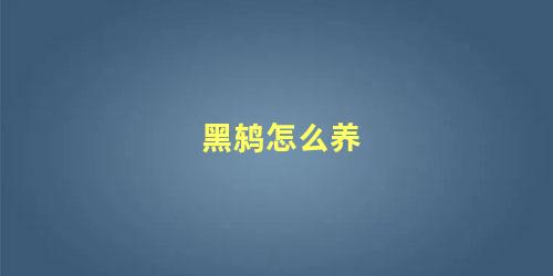 黑鸫怎么养