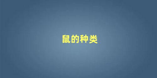 鼠的种类